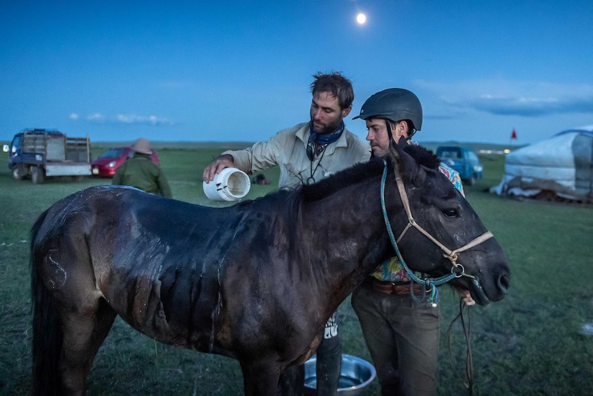 Men pouring water over a horse's back