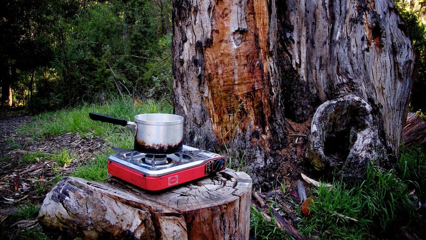 The Great Otway National park is among more than 500 basic camp sites to have fees scrapped.