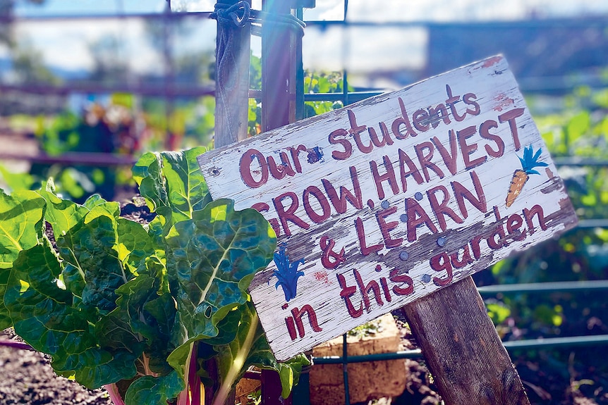 A wooden board placed in a school garden reads, 'Our students grow, harvest and learn in this garden'