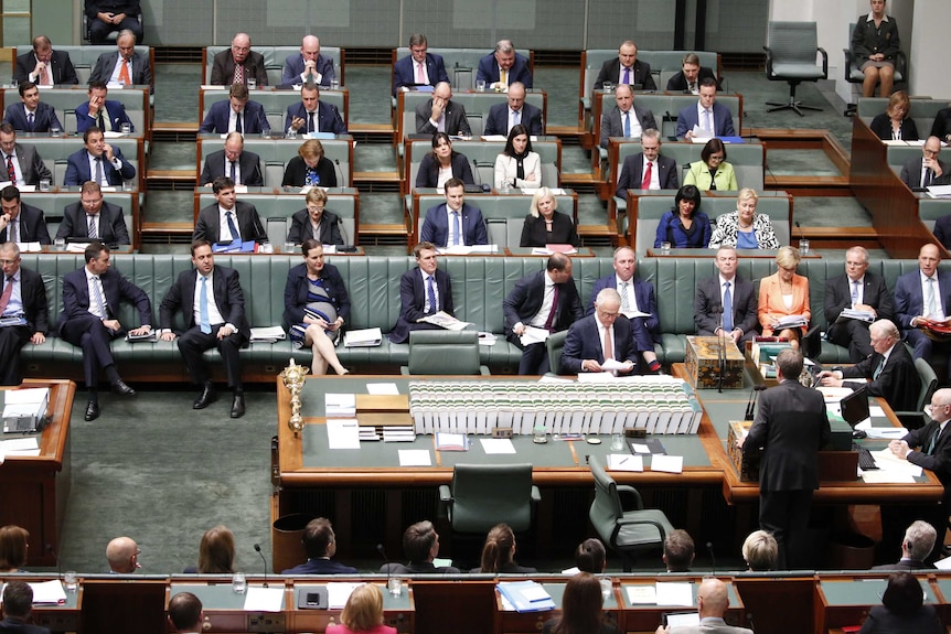 A wide shot of the House of Representatives shows nine women and 34 men.