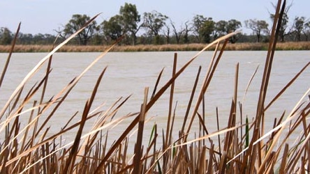 Prime Minister John Howard says he will support the closure of wetlands if necessary to secure drinking water.