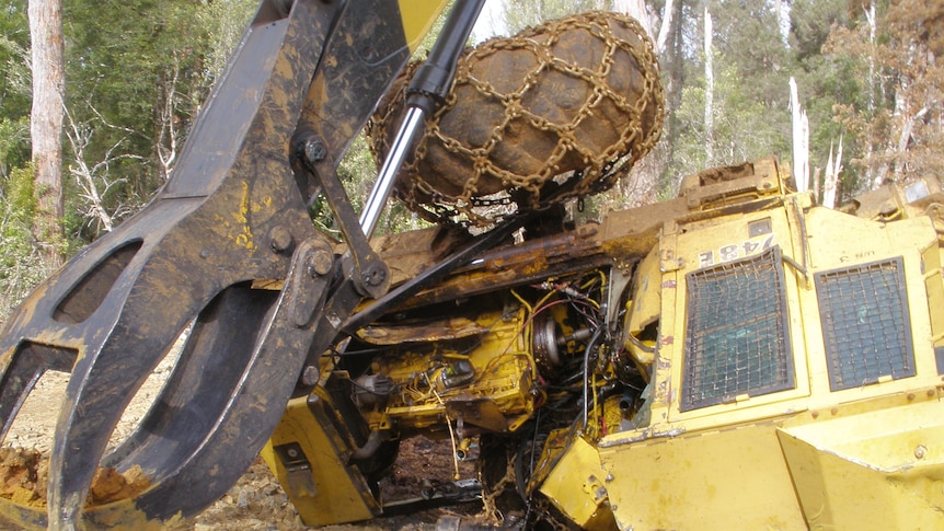 Vandalised machinery in a Forestry Tasmania logging coupe