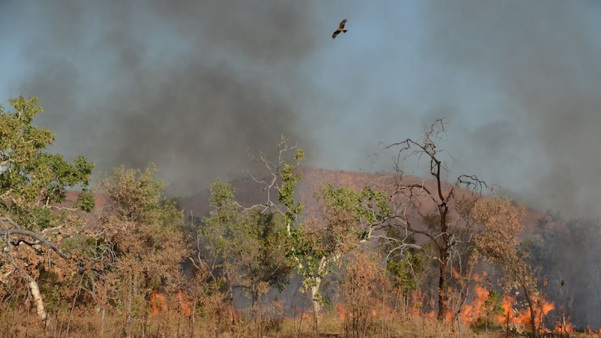 An unmonitored burn taking place near Lake Argyle in the Kimberley