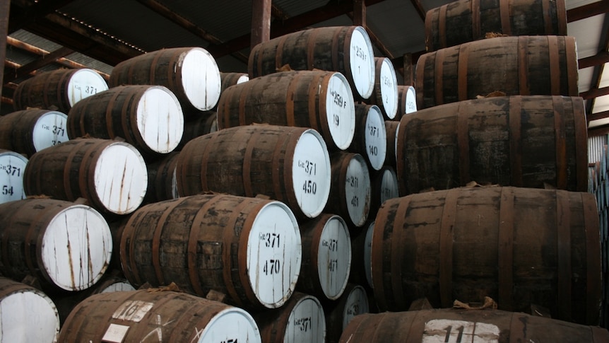 BARRY GREGSON Barrels in a shed in the Barossa Valley