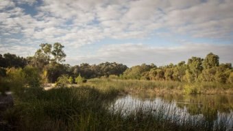 Bayswater Eric Singleton Bird Sanctuary