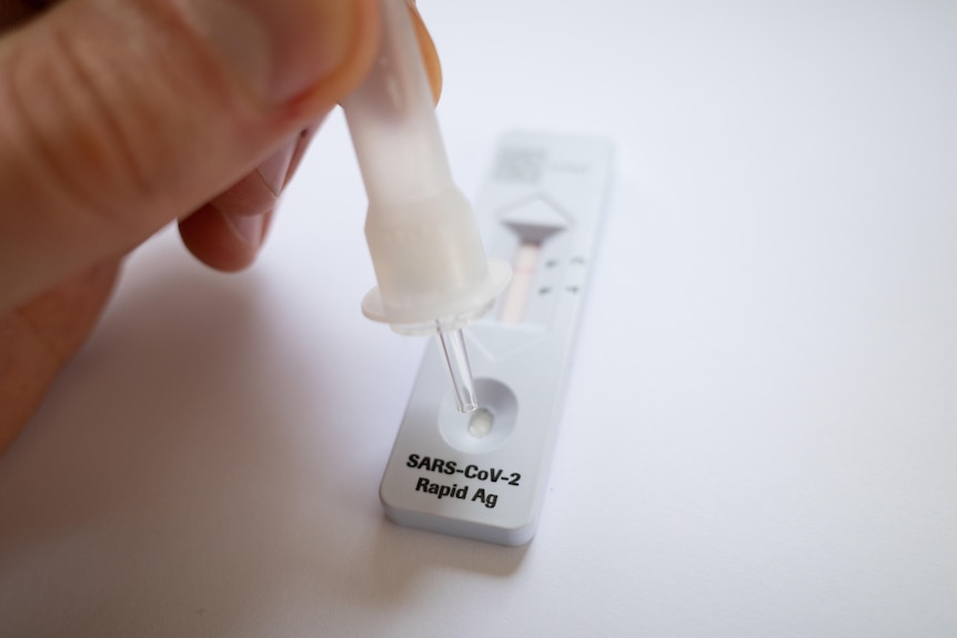 a person using a rapid antigen test kit