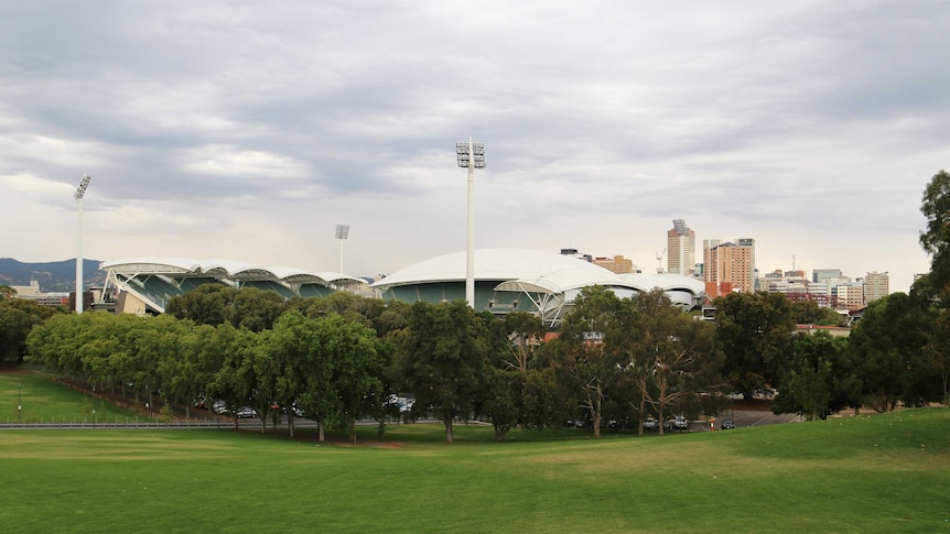 Trees outside Adelaide Oval with the city in background.