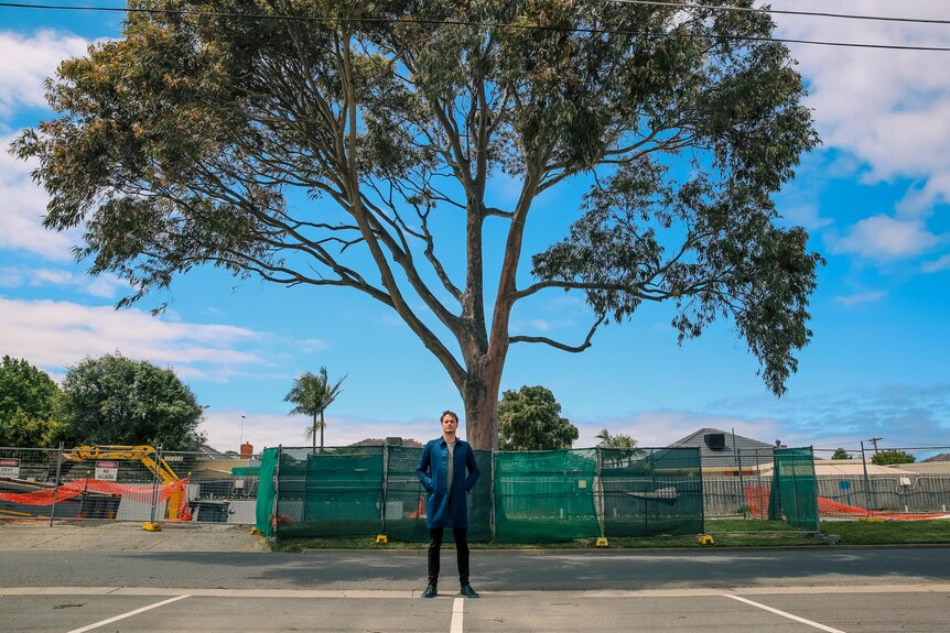 A man stands in front of a tall tree growing in the middle of what looks like a car park.