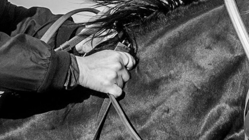 Close up photo of man using jigger device on horse