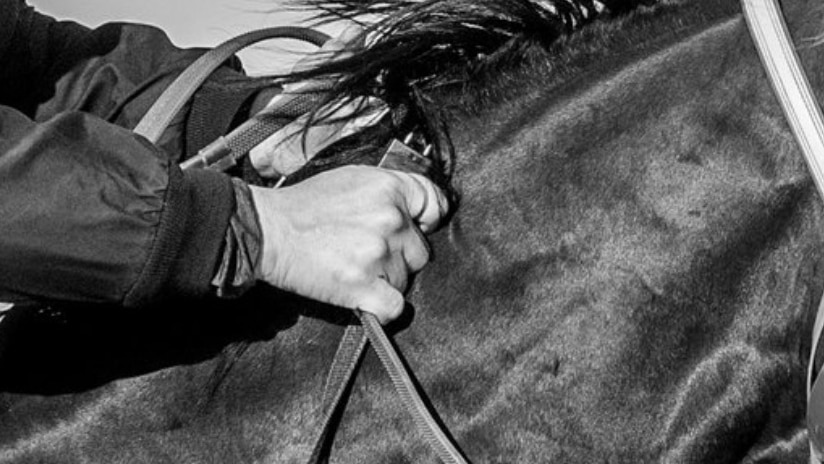 Deux participants à des courses de chevaux suspendus après le lancement d’une enquête sur des photos d’un éventuel «jigger» électronique utilisé