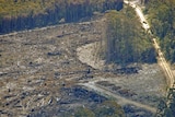 It is understood Professor West's report heavily criticised Forestry Tasmania.