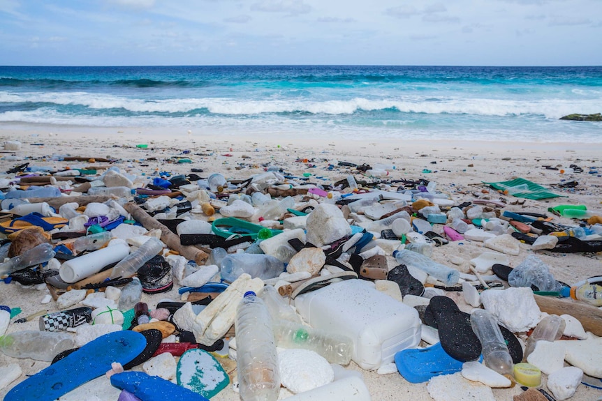 Plastic bottles and products washed up on a beach.