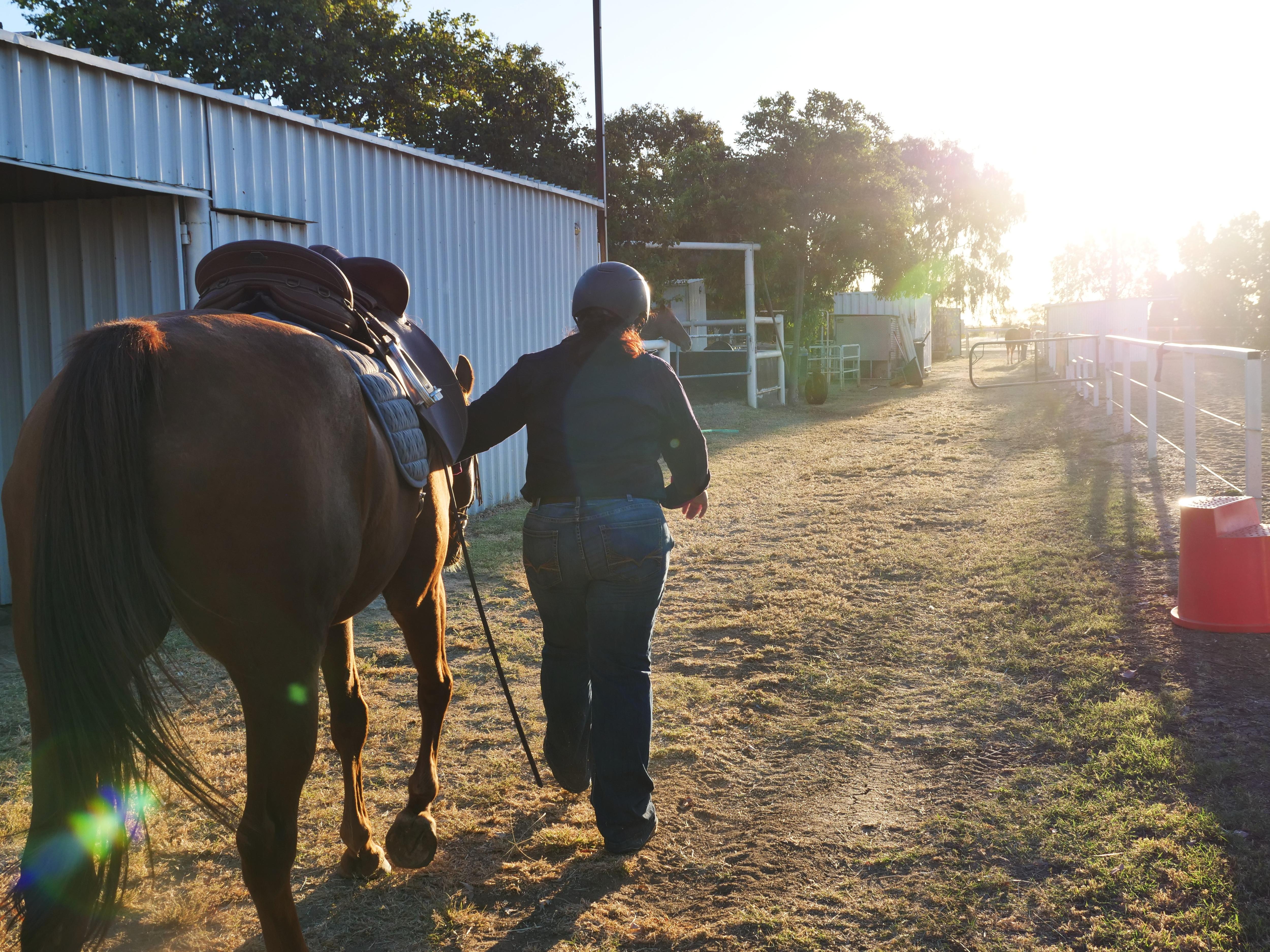 Kim Lawrence walking off with her horse. Sun flares on the picture. 