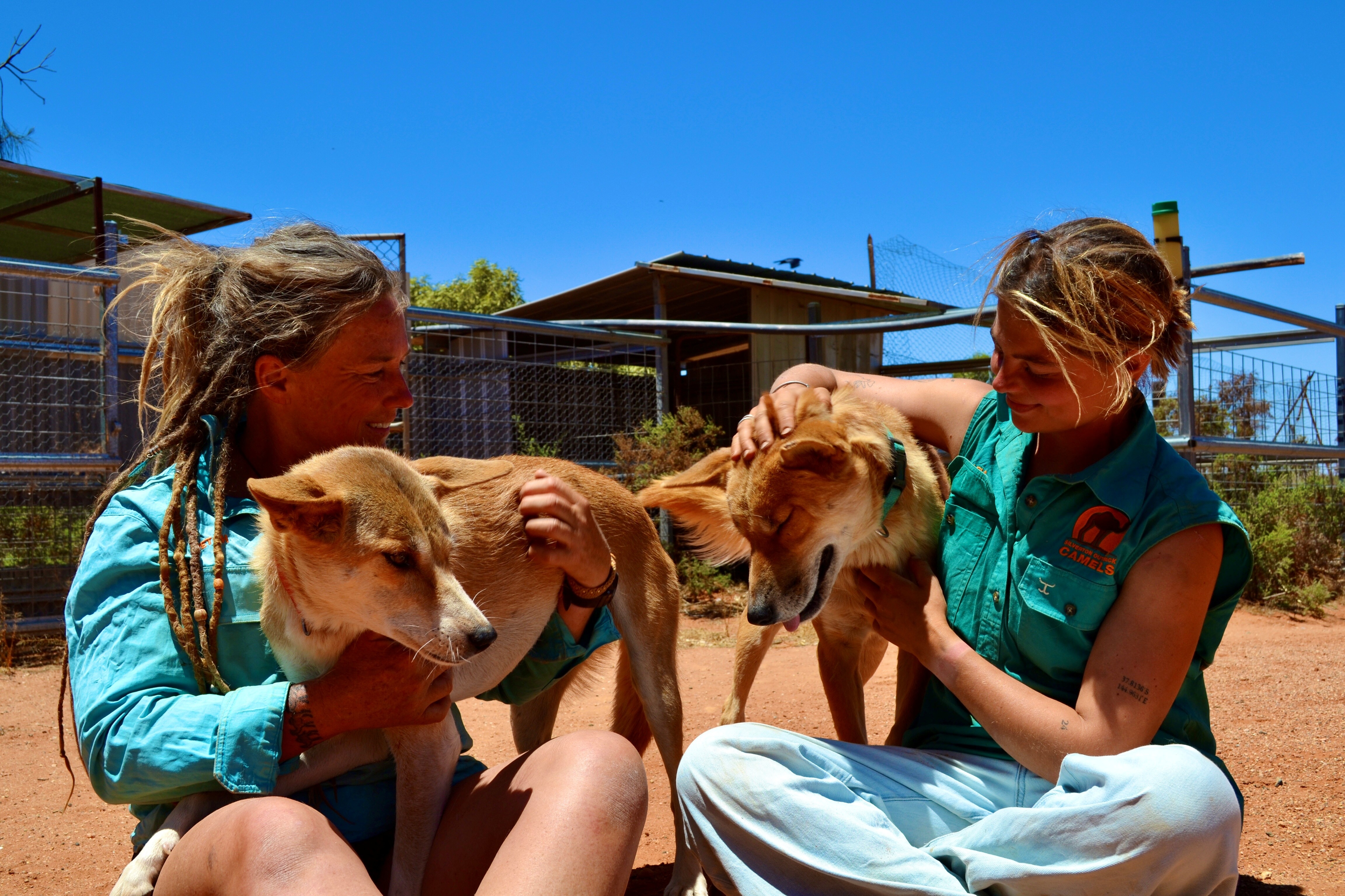 Petah e Annemijn estão sentados na terra vermelha de sua fazenda, acariciando dois de seus dingos sob um céu azul brilhante.