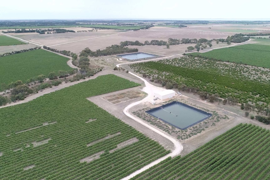 An aerial shot of a farm