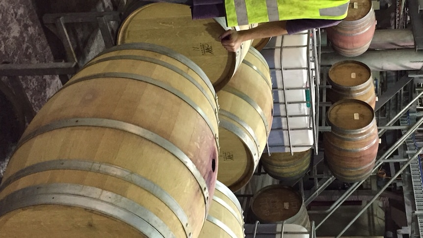 Wine maker and AWRI Manager Peter Godden stands next to the barrels of wine