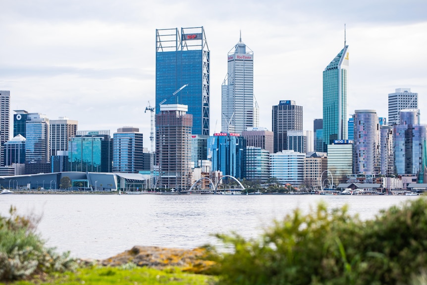 A city skyline with tall skyscrapers along the banks of a river, with green shrubs in the foreground.