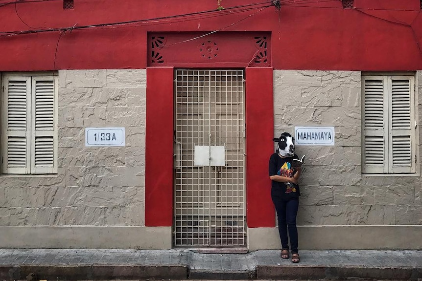 A woman stands in front of a building wearing a cow mask.