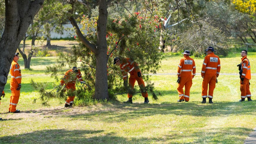 Men in orange coveralls walk in a line through a park with trees
