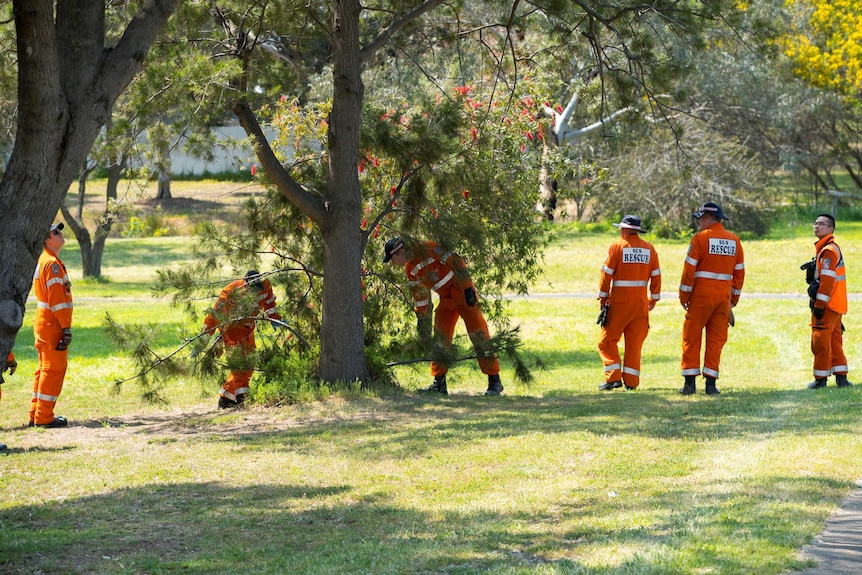 Men in orange coveralls walk in a line through a park with trees