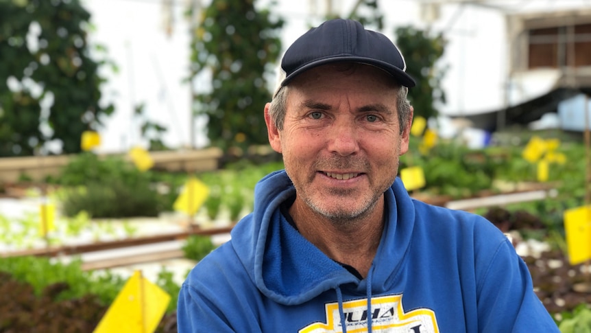 Man in blue jumper stands in front  of plants inside a greenhouse. 