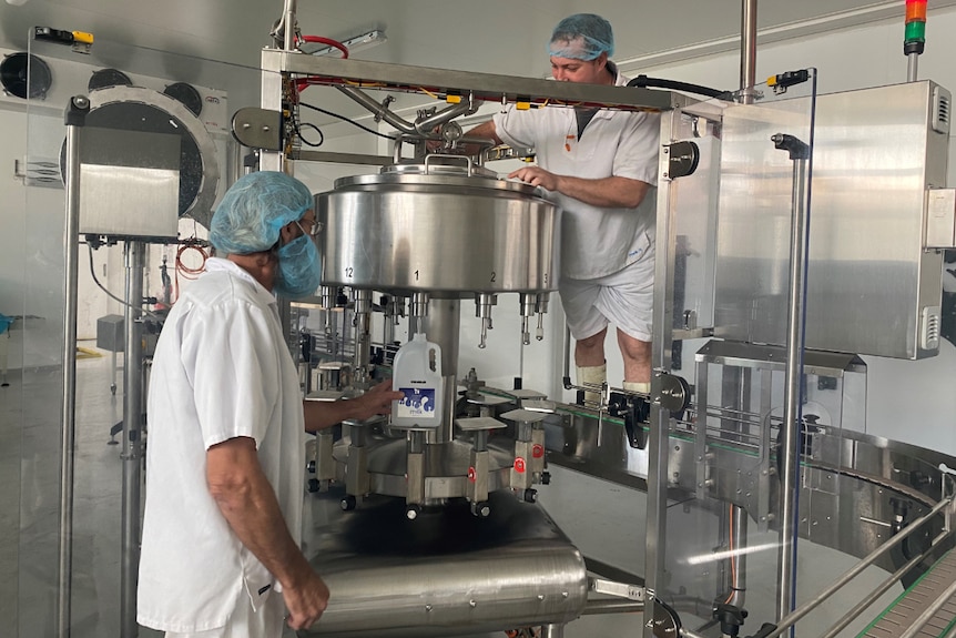 Workers wearing hair and beard nets looking at a milk vat in the factory.