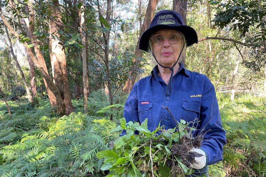 A smiling elderly woman standing in the bush holds a large pile of weeds