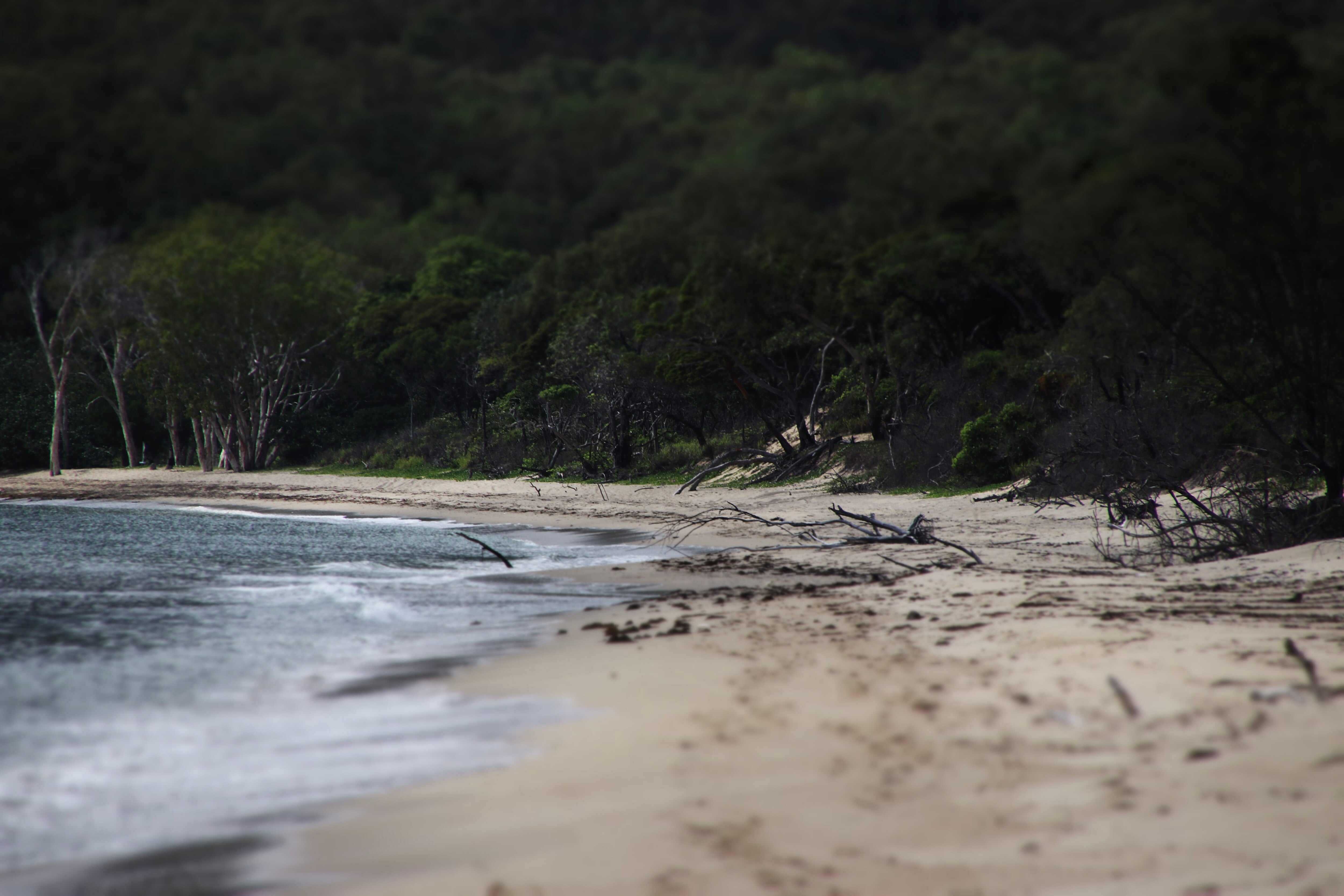 Fotos de playa en un día soleado