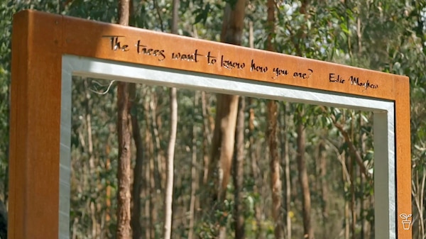 Large wooden frame in the middle of a bushland garden.