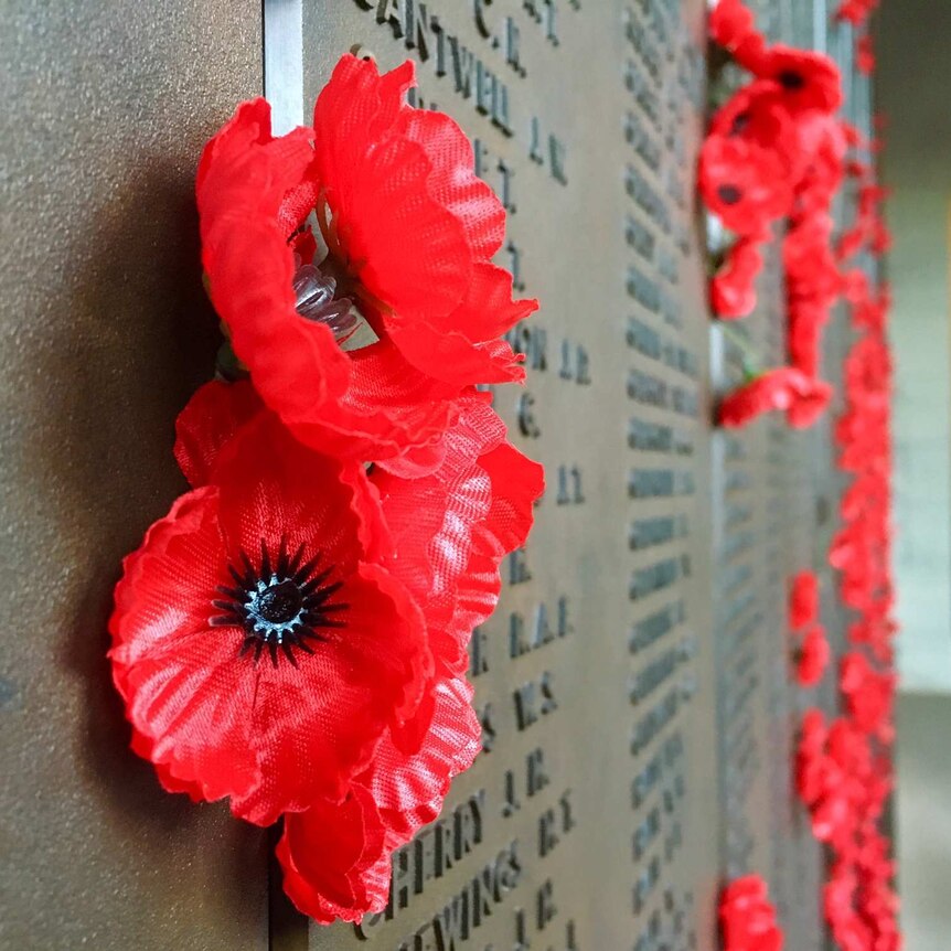 Poppies at the Australian War Memorial
