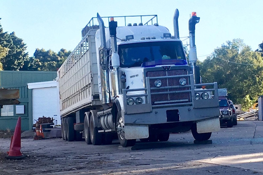 A cattle truck with wooden chocks under the front wheels