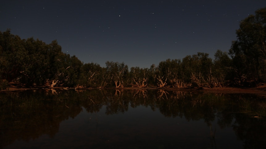 White trees are reflected on a lake at night time on a star filled night in the desert