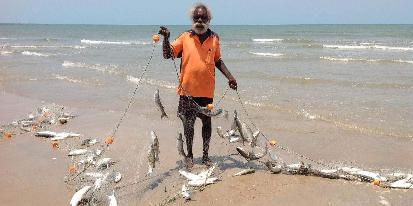 Maningrida Bluetail Mullet for sale at Darwin Fish Market for the first