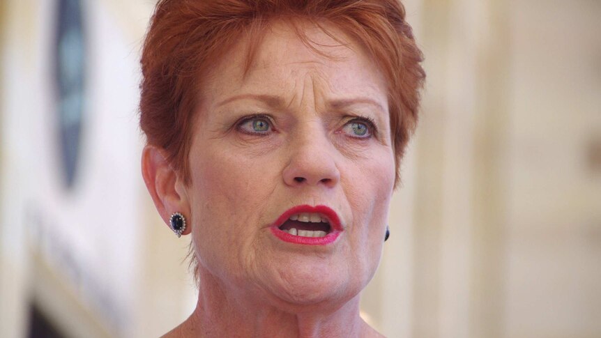 A tight head shot of Pauline Hanson.