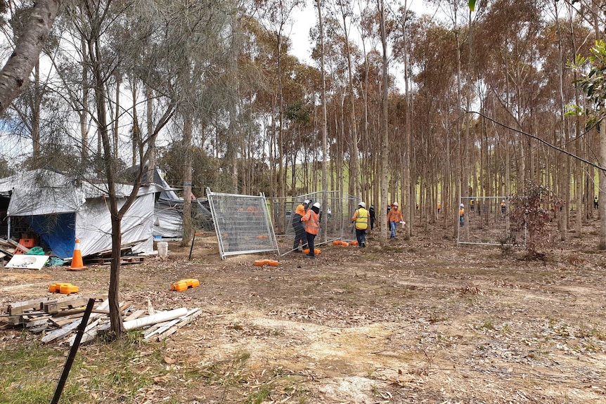 People in high-vis clothing take down metal fences amongst trees.