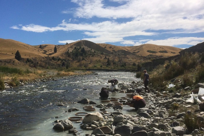 View of the St Bathans fossil site in New Zealand