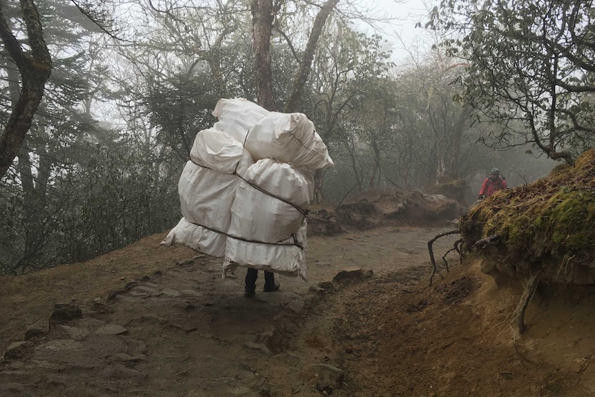 A porter carries supplies on the trail to the Mount Everest Base Camp.