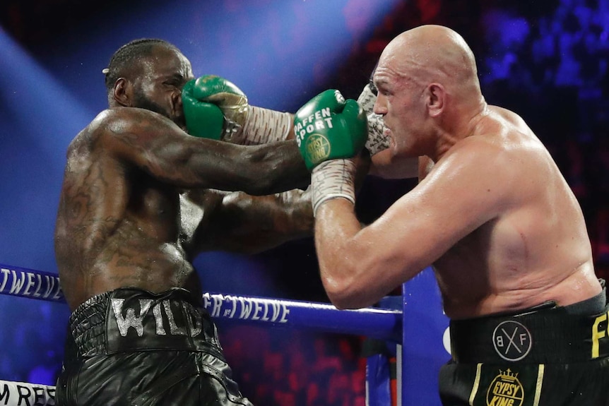 A male boxer punches another male boxer in the face during a WBC heavyweight bout in Las Vegas.