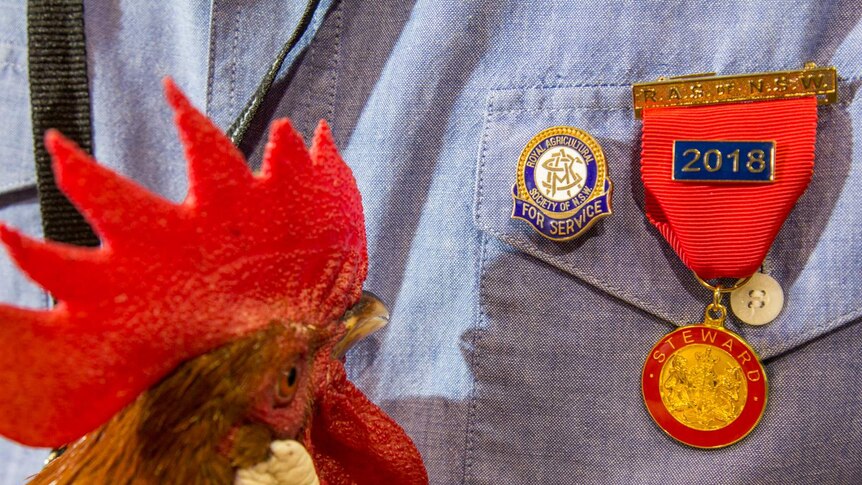 A bantam head next to Royal Agricultural Society of NSW badges.