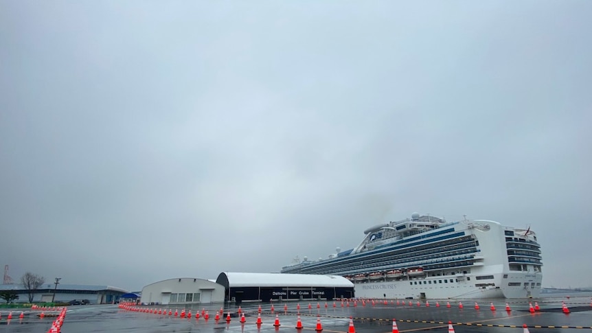 A ship docked in an area marked by orange construction cones