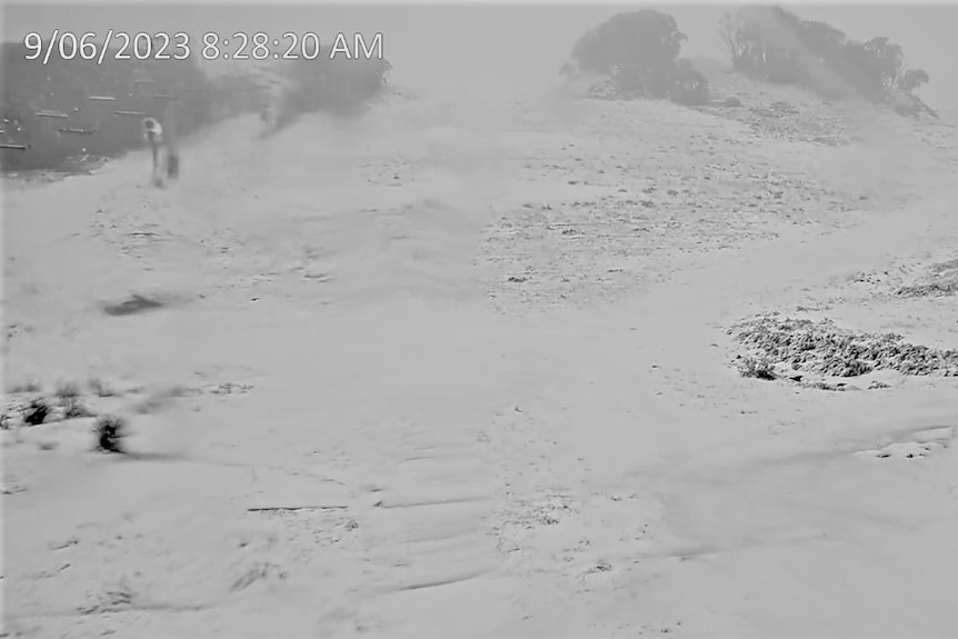 CCTV still image of ski run with a thin covering of snow on overcast day with moisture on the lens and snow gums in background