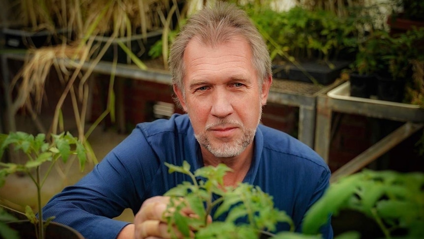 Sergey Shebala looks serious and he holds some plants.