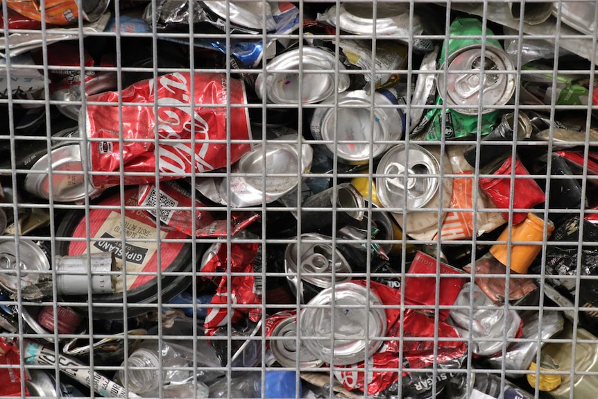 Recycled cans from yellow bins sorted.JPG