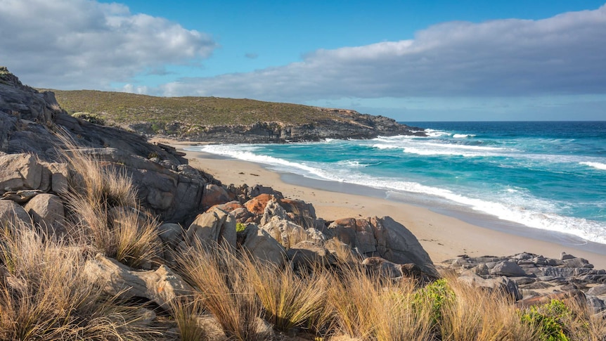 landscape view of beach with rise in foreground on left and headland middle distance and ocean on left distance.