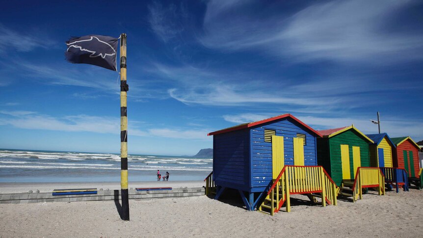 Shark warning flag at Fish Hoek beach in Cape Town