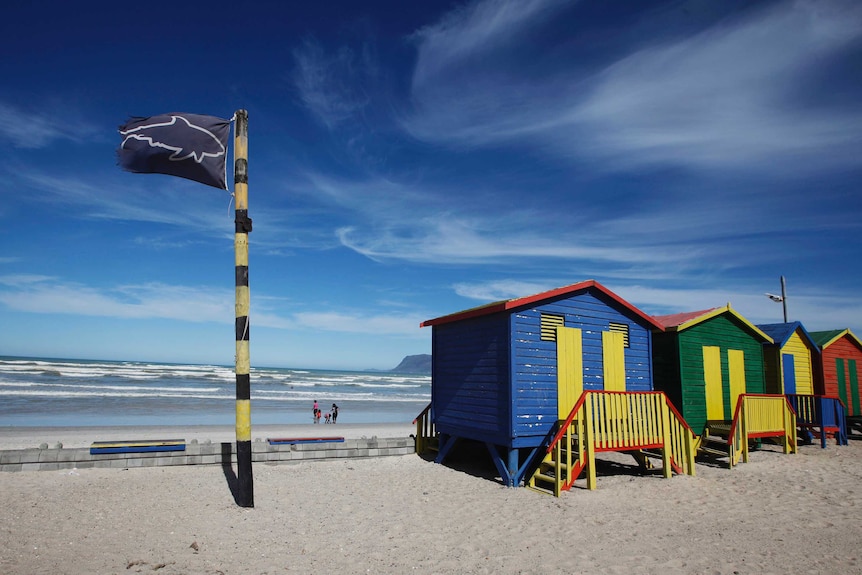 Shark warning flag at Fish Hoek beach in Cape Town