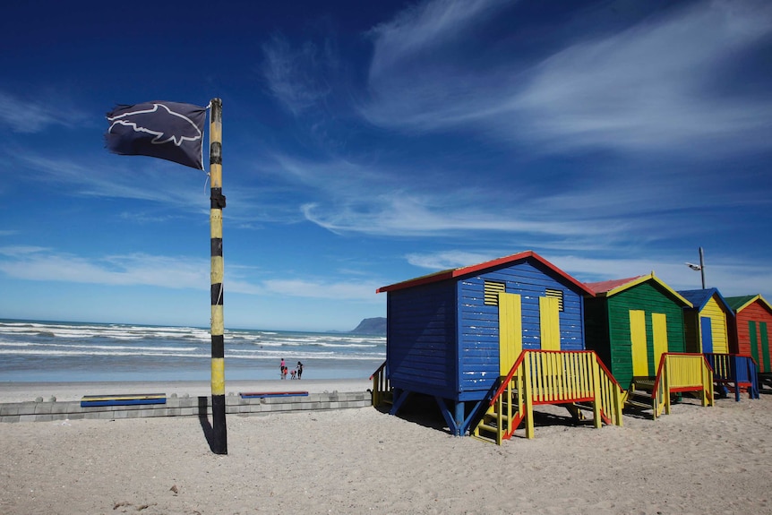 A black flag with the outline of a shark near colourful beach huts.