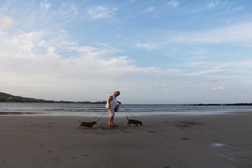 Merryl Gardner with dogs