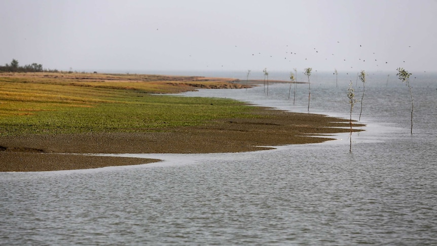 A muddy bank is being swallowed by a rising tide