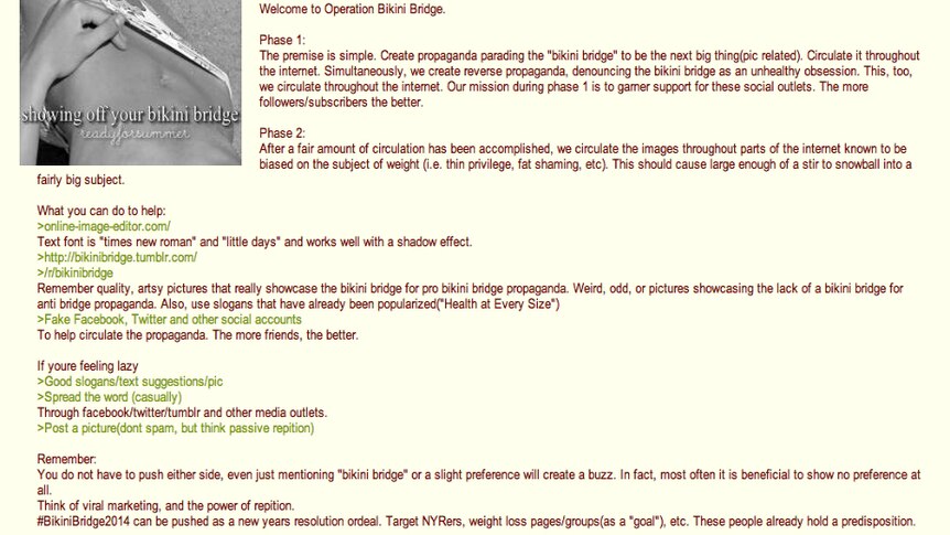 A post on 4chan introducing Operation Bikini Bridge.